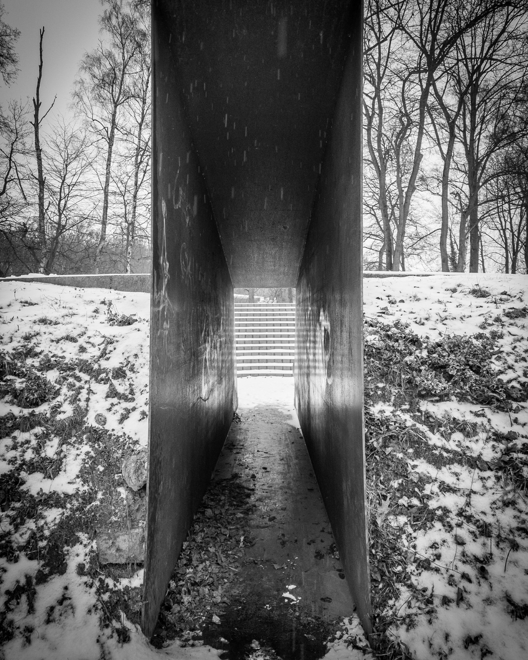 Auf diesem Bild ist der Eingangsbereich zur Skulptur "Memorial to the Victims of Euthanasia" zu sehen. Die beeindruckende Installation wurde im Jahr 2007 in Chemnitz/Altendorf, Flemmingstraße, von den Künstlern Gregor Torsten Kozik und Frank Maibier geschaffen.